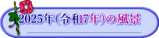 2025年(令和7年)の風景