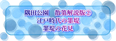 隅田公園　散策解説版② 江戸時代の墨堤 墨堤の花見