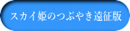 スカイ姫のつぶやき遠征版